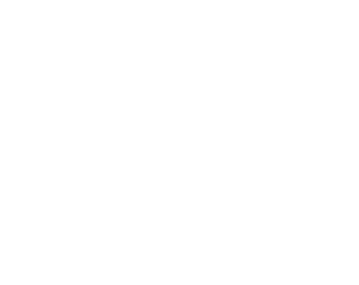 Steinberg Real Estate Logo